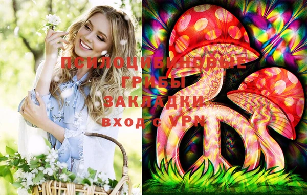 метадон Алзамай