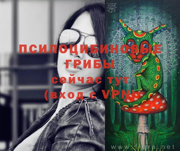 стаф Алексеевка