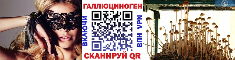 MEGA ТОР  Ясный  Галлюциногенные грибы ЛСД 